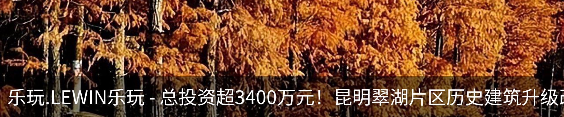 内页banner